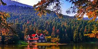 BOLU karot hizmetleri